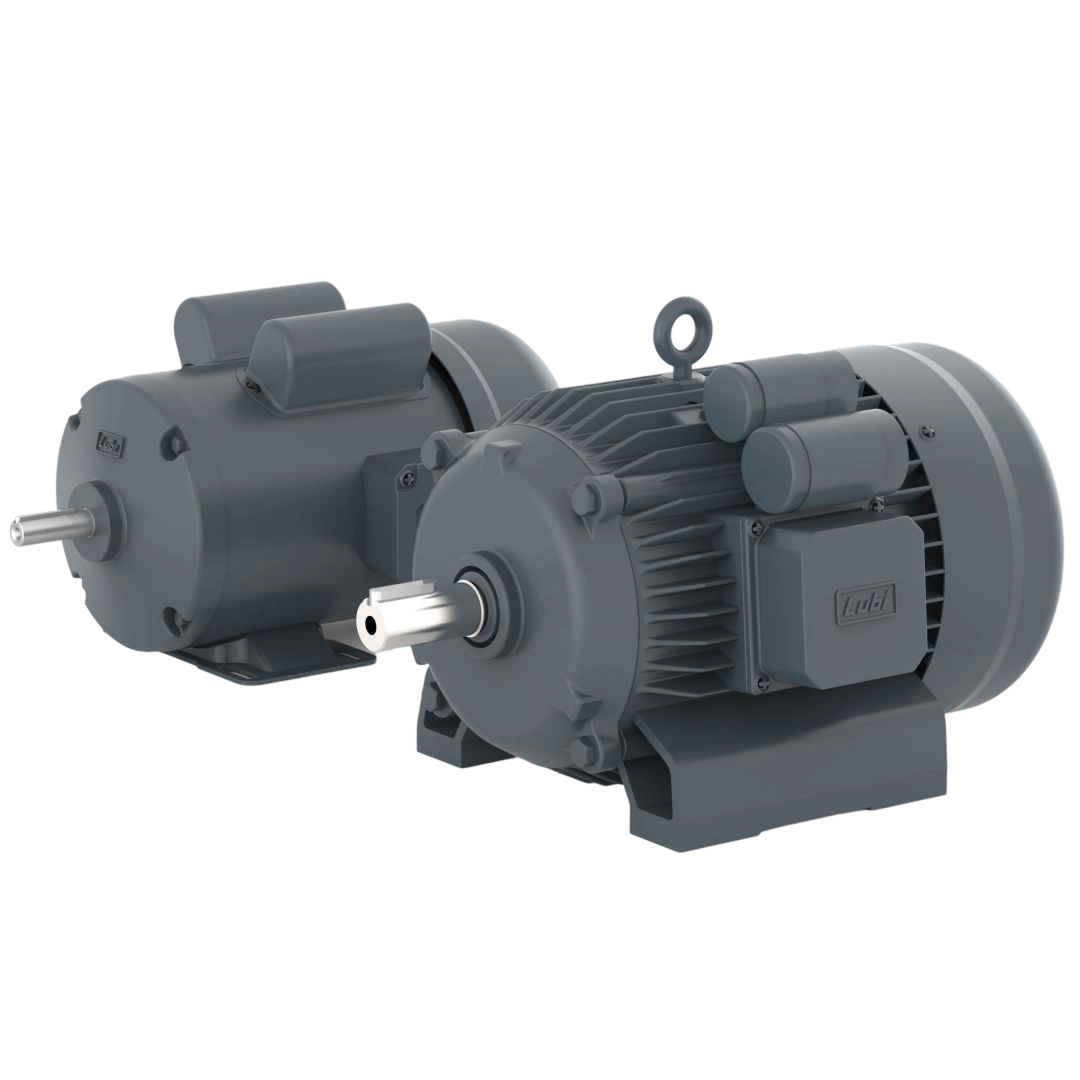 Induction Motors — Paras Engineering Co.